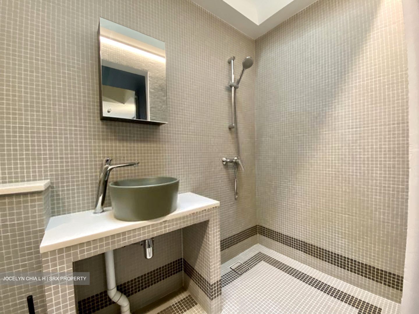Havelock Road (D3), Apartment #453640591